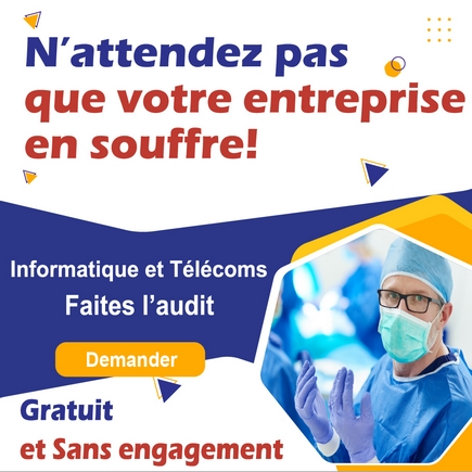 Audit informatique gratuit en entreprise